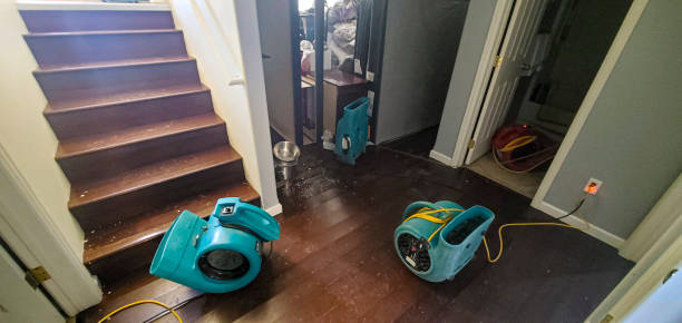 Best Carpet water damage restoration  in Kasson, MN