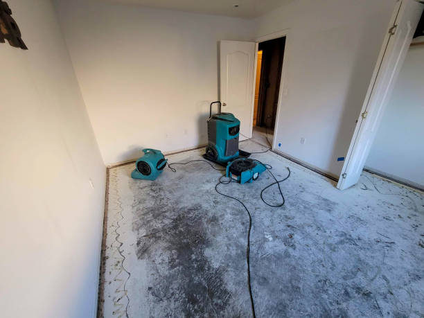 Best Fire Damage Restoration  in Kasson, MN