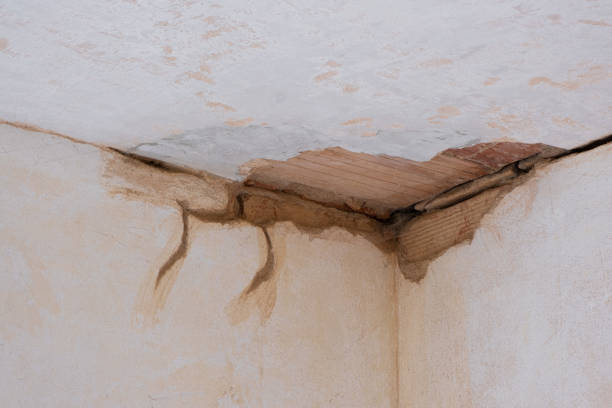 Best Water damage restoration services  in Kasson, MN