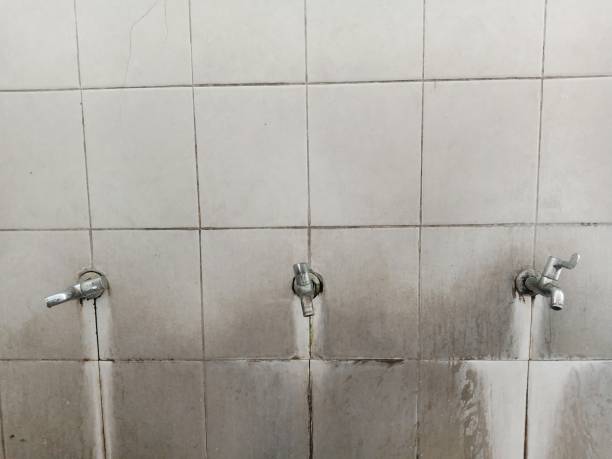 Best 24-hour water damage restoration  in Kasson, MN