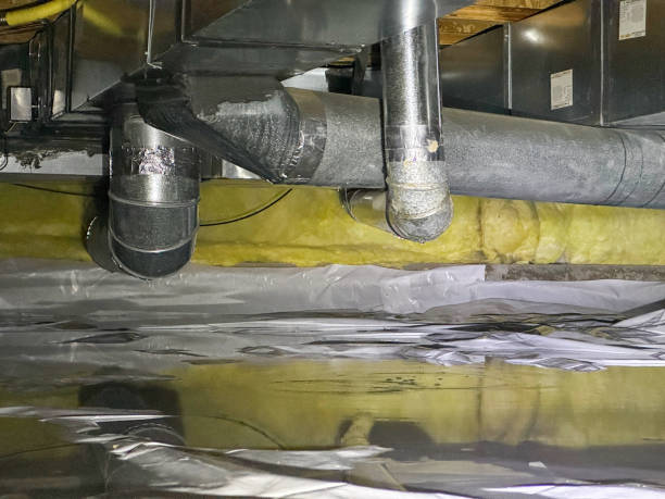 Best Mold removal after water damage  in Kasson, MN