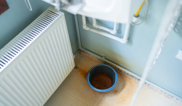 Best Flood damage cleanup  in Kasson, MN