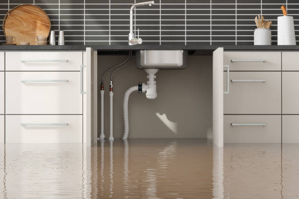Best Flood restoration services  in Kasson, MN