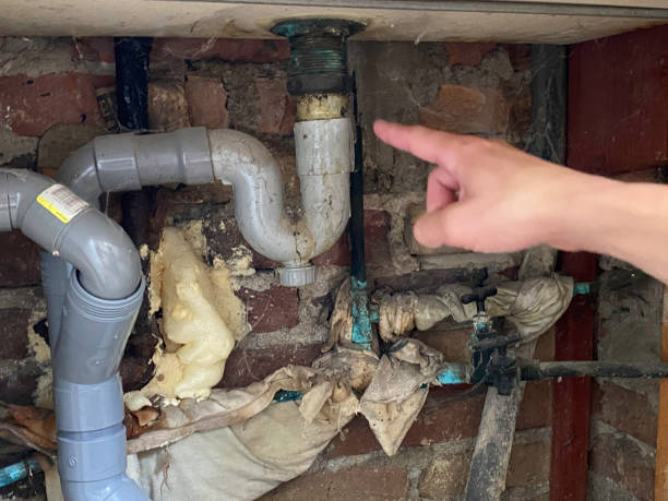 Best Sewage cleanup and water damage restoration  in Kasson, MN